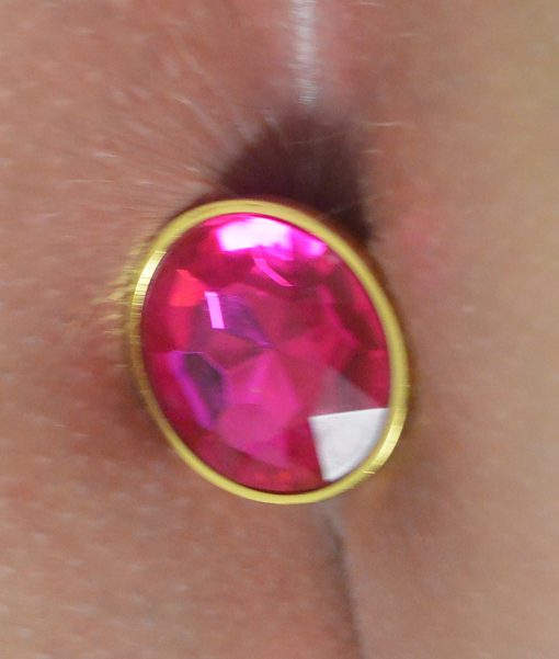 Gebruikte buttplug