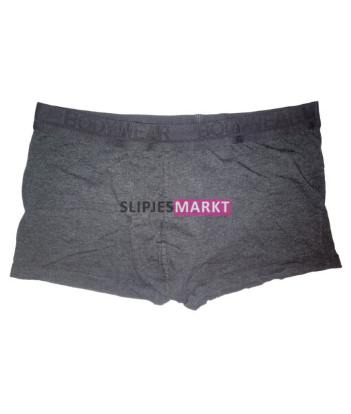 Grijze boxer