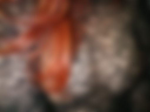Foto's borsten in kanten body