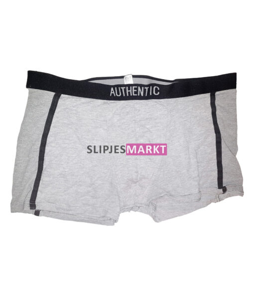 Grijze boxer