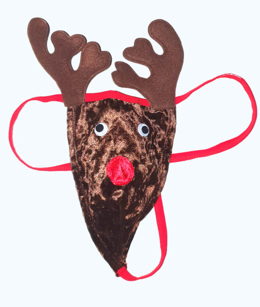 Kerst string - Rudolf de rendier