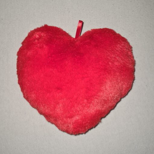 Hartjes kussen rood