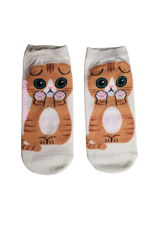 Leuke kattensokjes